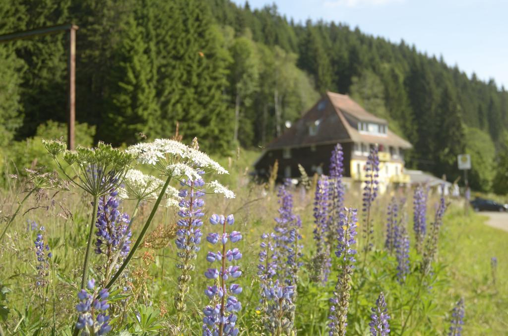 Gasthaus Hotel Loeffelschmiede Feldberg  Dış mekan fotoğraf